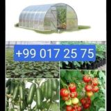 ISSIQXONA PARNIK REKLAMA