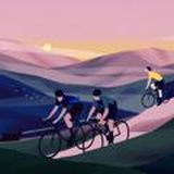 ЗБІР Учасники