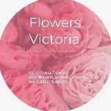 Цветы Flowers_Victoria_Moscow Букеты/ Доставка / Москва и МО/Долгопрудный