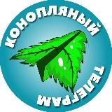 Green House Seeds Story