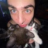 Котик, но не грустный