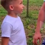 Омск прогер хз