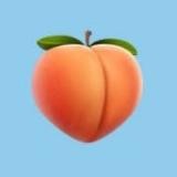 ЖОПОГРАМ ⬅️