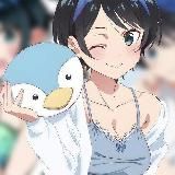 𝑮𝒚𝒓𝒐 𝒁𝒆𝒑𝒑𝒆𝒍𝒊 𝑩𝒊𝒏'𝒔