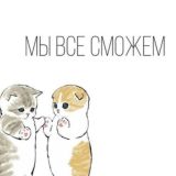 Лекции третий курс дистант