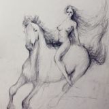 Водоёмище N