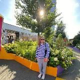 Limbo Carry: the cozy world of sweet dreams