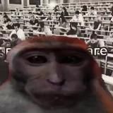 бибизьяньи кружочки