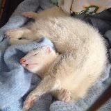 .ˎˊ‧₊ 𝐬𝐭𝐮𝐩𝐢𝐝 𝐝𝐚𝐲 ˚୧ ₊˚.