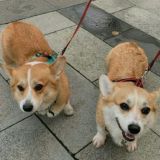 все что тебе нужно)