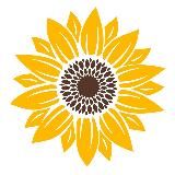 Качество в подарок