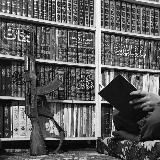 дневник مуваххида