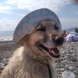 Анька и ее КВАРТИРНИК