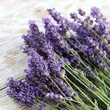 𝘗𝘌𝘙𝘚𝘖𝘕𝘈𝘓𝘐𝘛𝘠 𝘛𝘐𝘛𝘈𝘕𝘐𝘊 𝘚𝘏𝘖𝘗