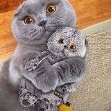 Покорная жена