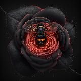 БМы и акки от Пчёлки🐝