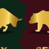 Бык против медведя