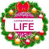 Ленинградская ЖИЗНЬ