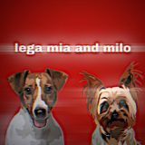 Ярка болгарка