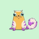 NFT Binance | OpenSea