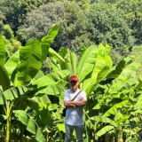 Экспресс Chat