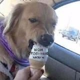 МемыСкрепы