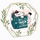 Книжный магазин «Теплый кот»