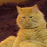 булочная🥐☕️