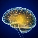 мозгОника🦉