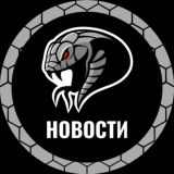 SnakePie – Новости 🐍🍰