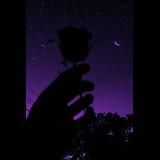 Alisa_uwu ПЕРЕШЛА