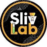 SlivLab 🧪 Крипто сливы