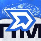 Парламентская модель 2025