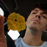 Осенний Арсений 🍁