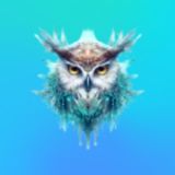 Чат по охране труда. Амулет Учебный центр