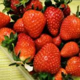 🍓СИТИФЕРМЕРЫ_3000