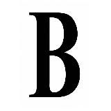 Новые Туркестанские ведомости