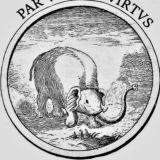 XXV Олимпиада по латинскому языку и античной культуре для учащихся 5–11 классов