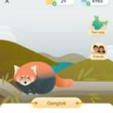 ALL LINK'S SHARE HERE