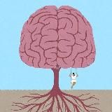 Интересная Psychology