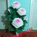 Xazarasp Karvak Malohat Tikuvchi