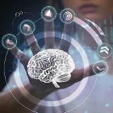 Записки Кинезиолога