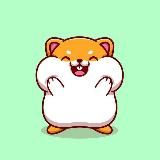 Крипто Хомяк| IDO | Crypto News