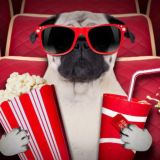 VERSACH | выплаты