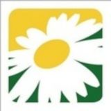 Официальный чат СК Ромашково