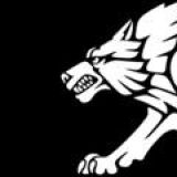 Сили спеціальних операцій ЗС України