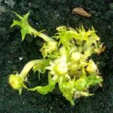 Семейные обстоятельства