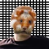 ПРОСТО FIYALKIN