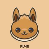 PLMR ✰