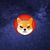 TTM SHIBA INU🚀🦁